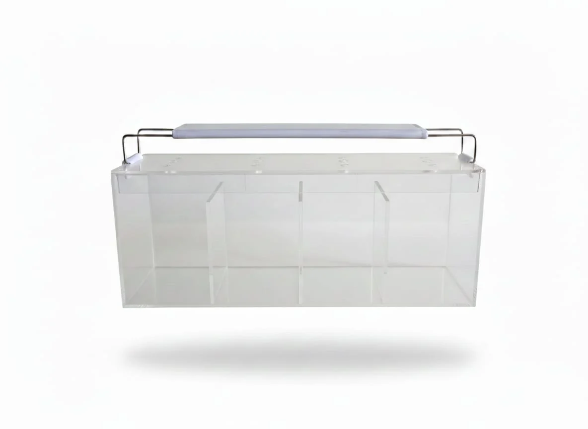 Acrylic tank with light- Ideal for Betta - Image 4
