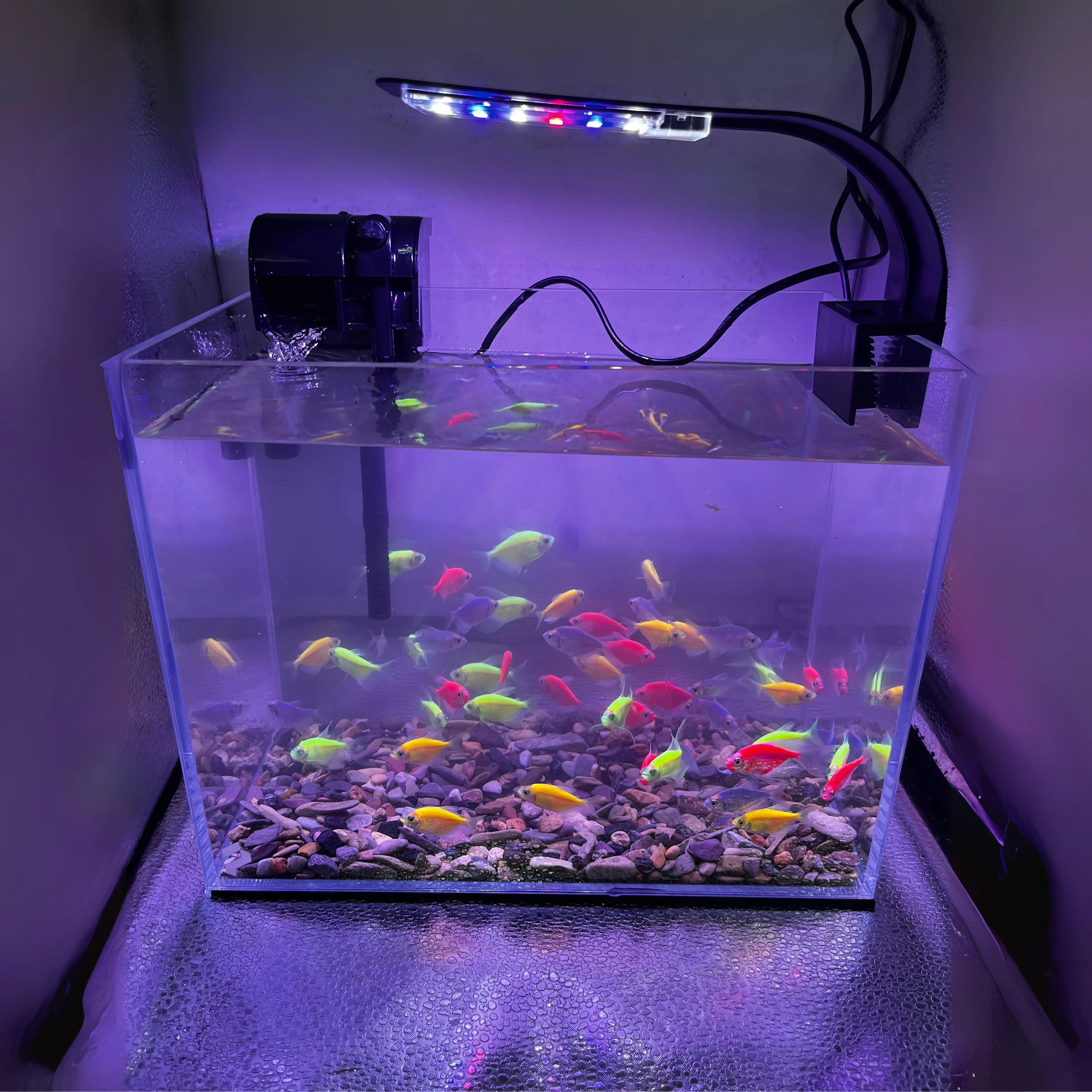 AquaFlow Aquarium Kit - Image 3