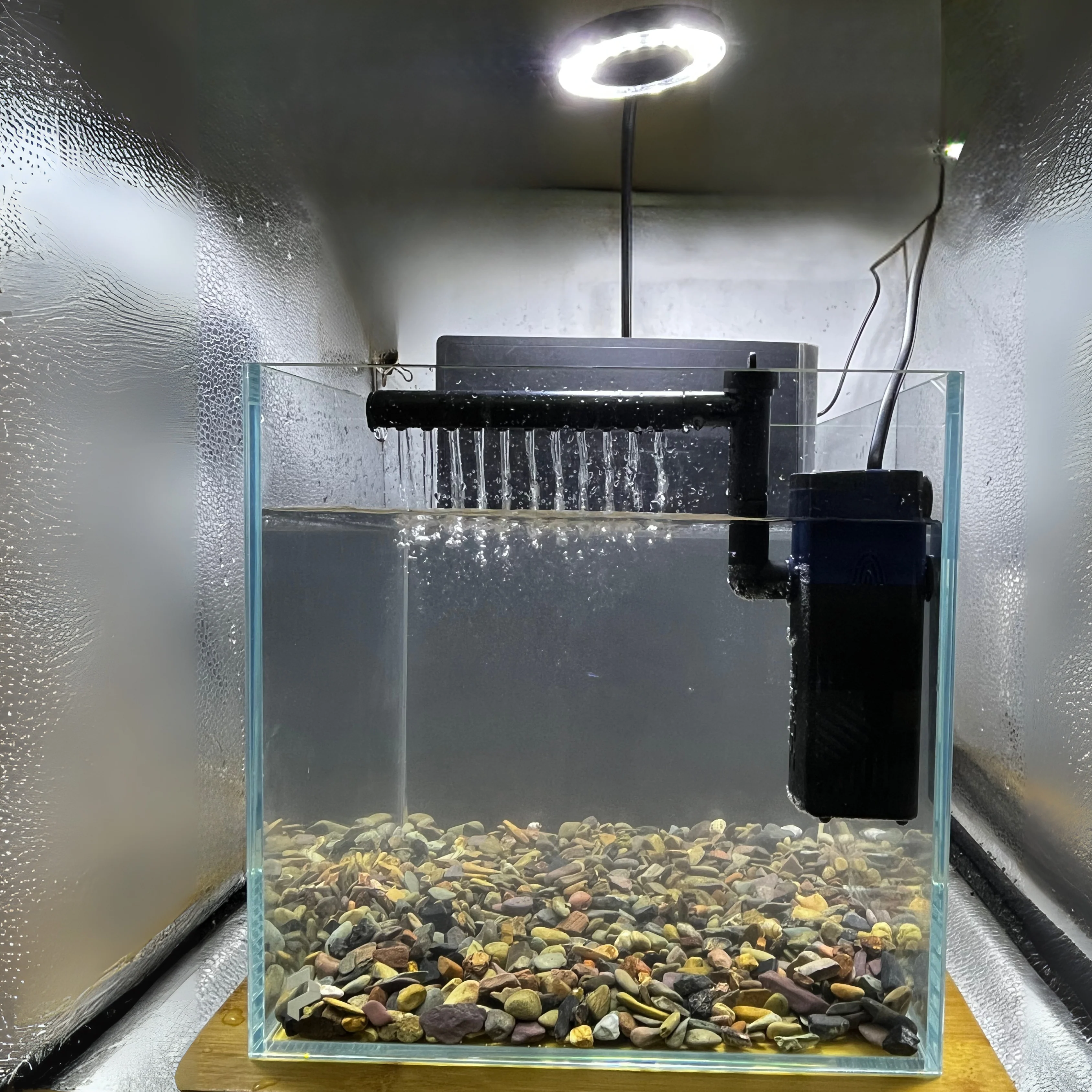 AquaBloom Aquarium Kit - Image 3