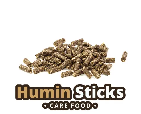 GlasGarten Humin sticks - Image 2