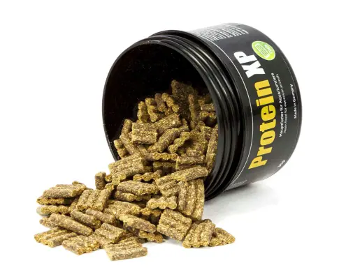 GlasGarten Protein XP - Image 2