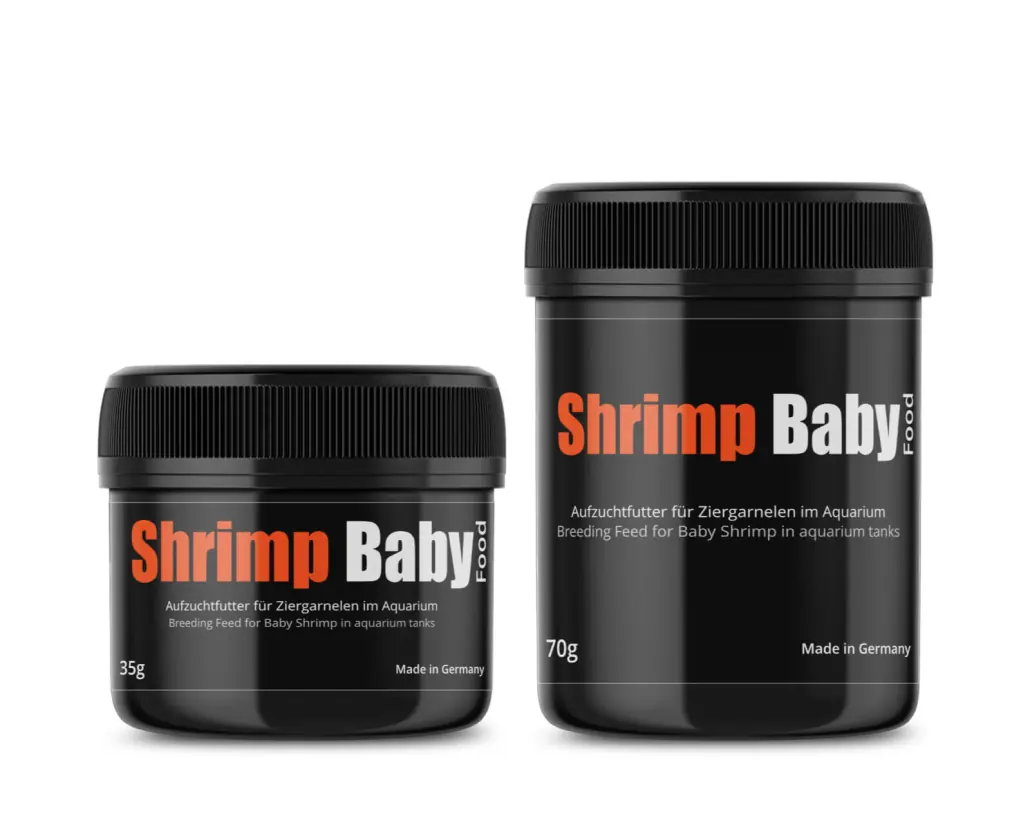 GlasGarten Shrimp Baby