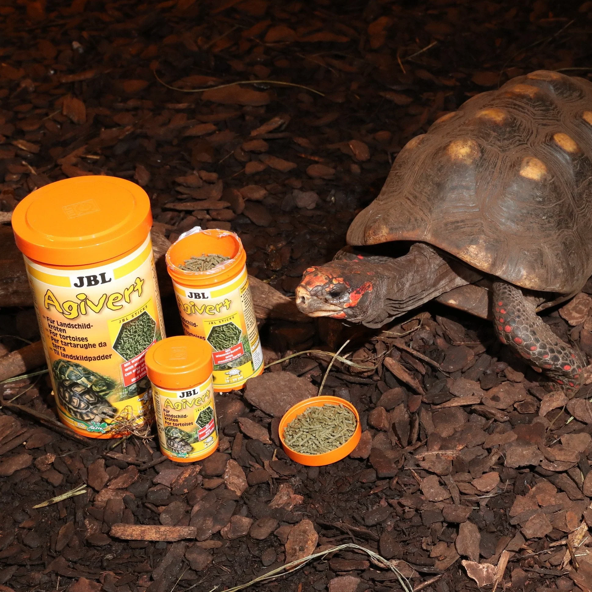 JBL Agivert 250ml Premium Vegetable-Based Turtle Food for Healthy Tortoises - Image 7