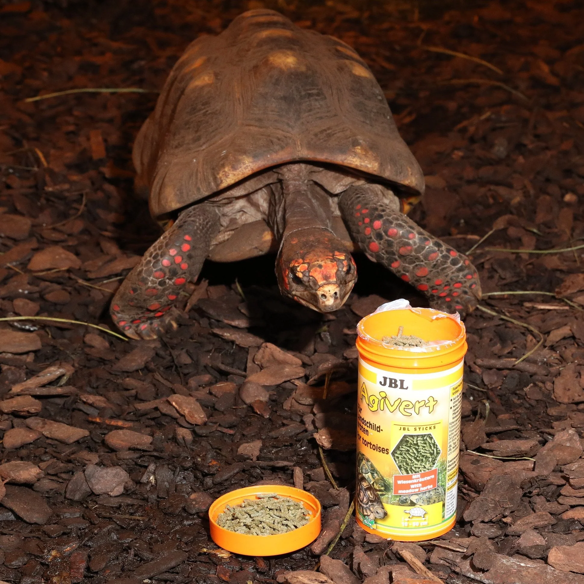 JBL Agivert 250ml Premium Vegetable-Based Turtle Food for Healthy Tortoises - Image 8