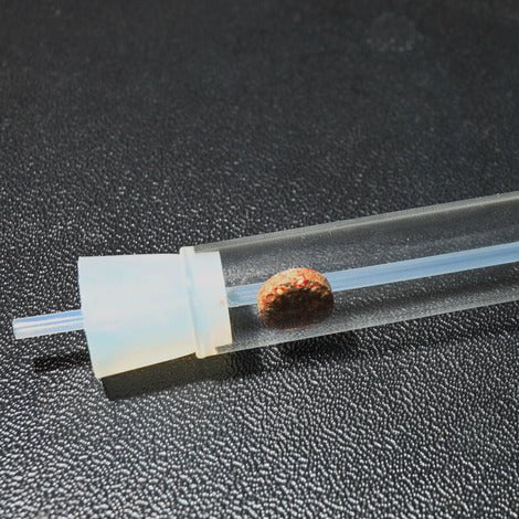 JBL PlaCollect Aquarium Planaria Trap: Chemical-Free Flatworm Removal Solution for Aquariums - Image 3