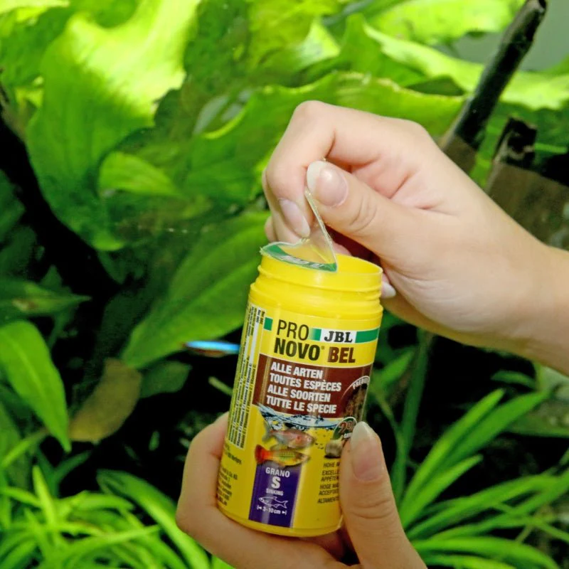 JBL ProNovo Bel Grano S: Premium Prebiotic Sinking Granules for Vibrant Fish - Image 3