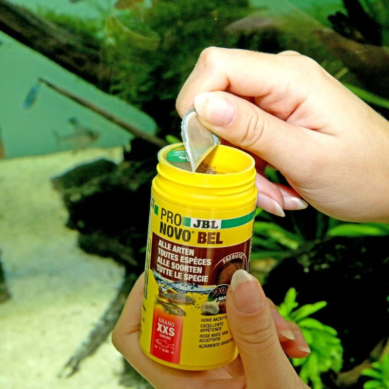 JBL ProNovo Bel Granules XXS: Tiny Fish Prebiotic Aquarium Food, High Acceptance - Image 3