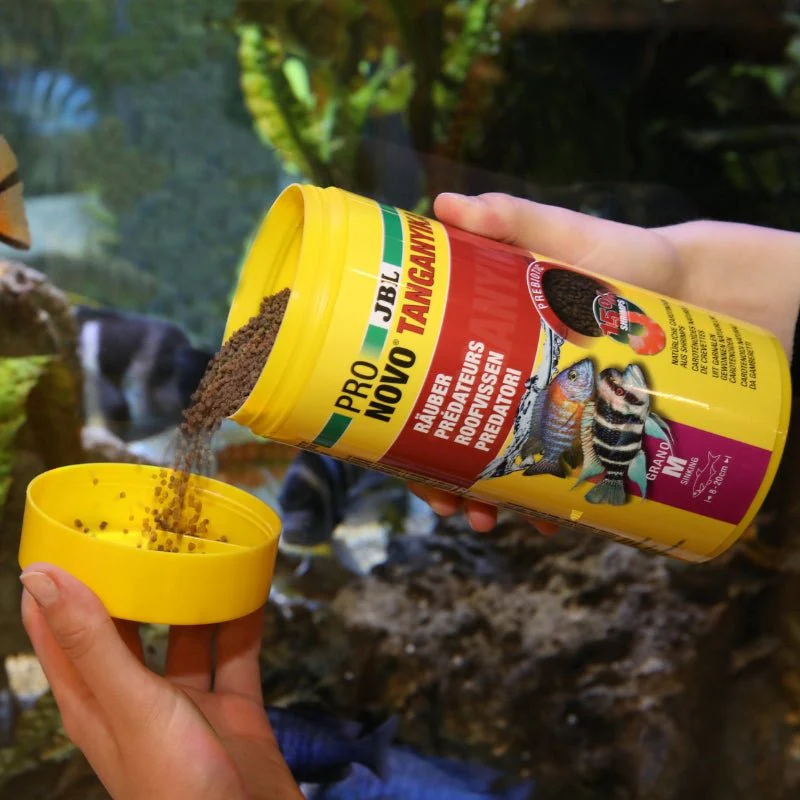 JBL Pronovo Tanganyika Grano M: Premium Granulated Sinking Cichlid Food - Image 5
