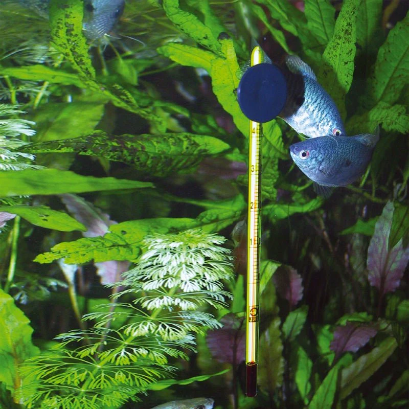 JBL Slim Glass Aquarium Thermometer for Precise Water Temperature Monitoring - Image 6