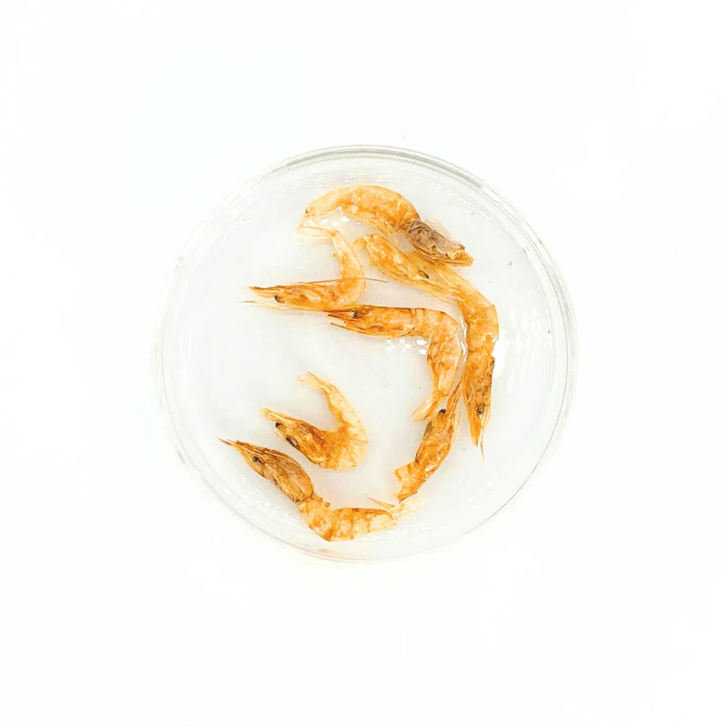 Premium Microwave-Dried Shrimp Pet Treats - Nutrient-Rich, High Protein, All-Natural Boost - Image 2